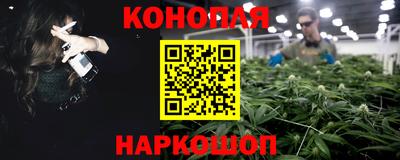 индика Мариинск