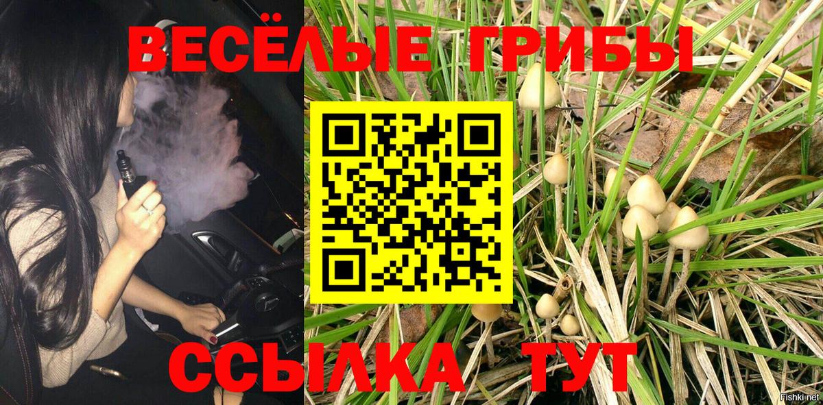 Тимашёвск  Галлюциногенные грибы Psilocybine cubensis  Вход с VPN  Галлюциногенные грибы Psilocybe 